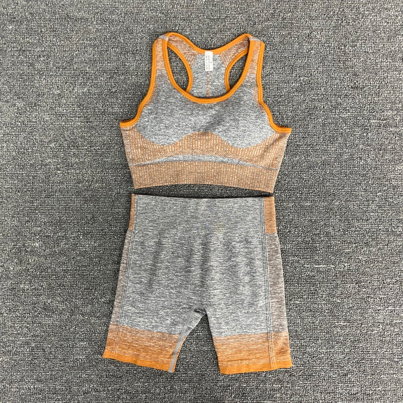 women yoga set gym clothing Female Sport fitness suit Running Clothes yoga top+ Leggings women Seamless gym yoga bra suits