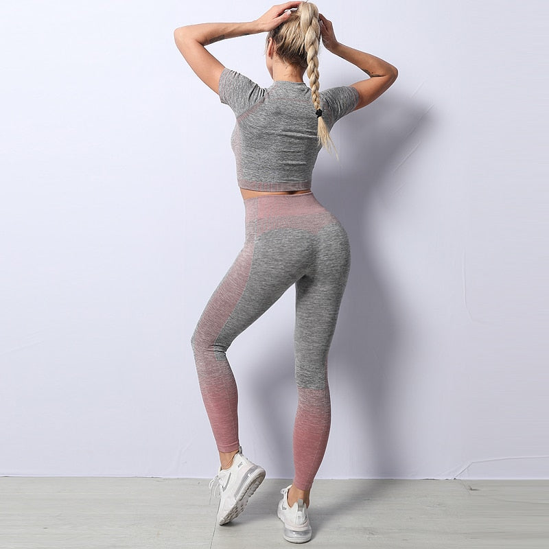 women yoga set gym clothing Female Sport fitness suit Running Clothes yoga top+ Leggings women Seamless gym yoga bra suits